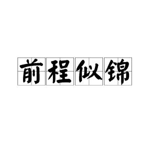 祝你前程似锦是什么意思，不负韶华前程似锦是什么意思