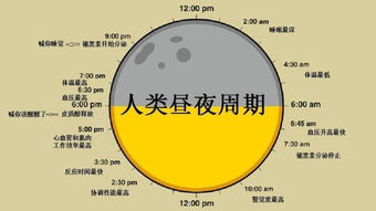 宙组词二年级下册(常用)，宙组词和读音