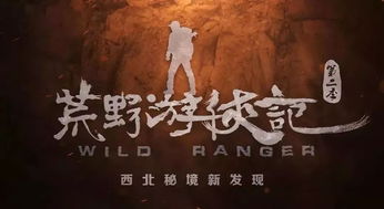 见( )未( )是什么成语?