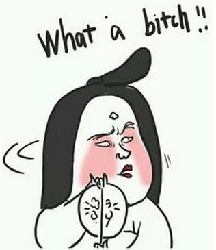 款款的词语解释