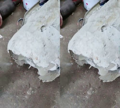 厚厚的什么填空词语二年级，小猫咪脚掌上有厚厚的什么