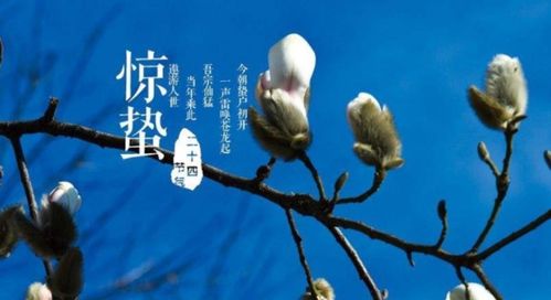 蛰怎么读什么意思