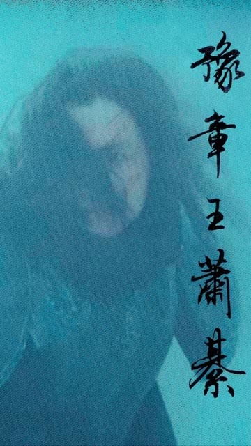 上阳赋 电视剧全集免费观看，上阳白发人