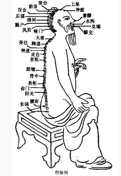 奇经八脉的八脉是什么请问问?