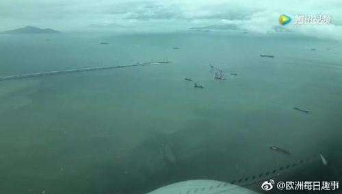 梦见自己飞过大海