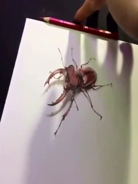 执虫念什么
