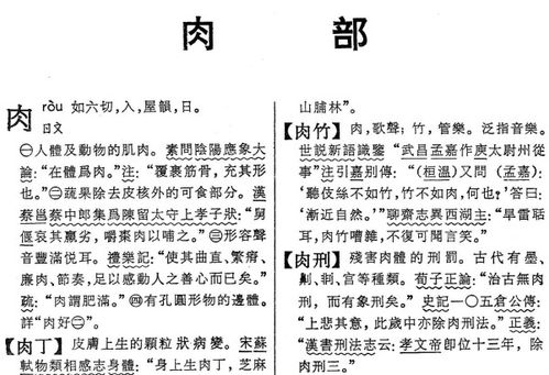 肉字的偏旁部首是什么?