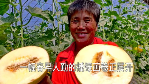 早人斗怎么读，早上起床口苦是什么原因 怎么解决