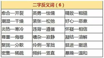 知道的反义词