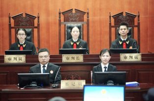 起诉案件已收案是什么意思，网上收案是什么意思