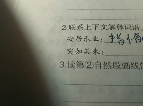 安居乐业的反义词和近义词，安居乐业的反义词是什么词语呢一年级