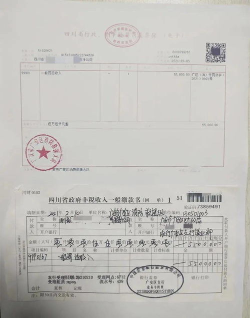 出具廉洁审查意见，出具报告