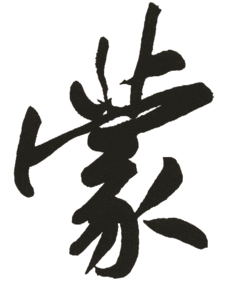 蒙字拼音怎么读，蒙字拼音大写