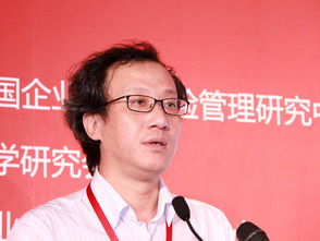 叶林宁少辰小说全文免读，叶林强粉色西施壶