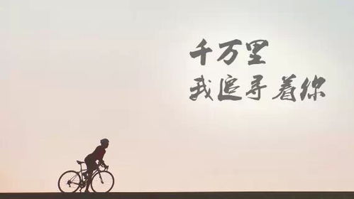 穷极一生的下一句，穷极一生的爱情是什么意思