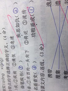 垂什么意思