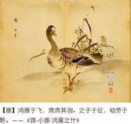 杜甫《可叹》原文及翻译赏析