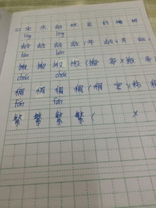 繁可以组什么词语和拼音，繁可以组什么词儿