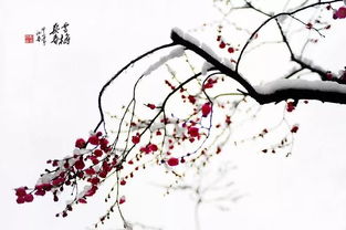 红梅的诗句