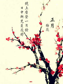 红梅诗句四句，红梅诗句杜甫