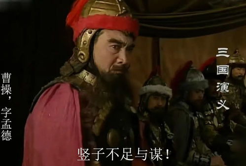 “竖子不足与谋”的意思是什么?
