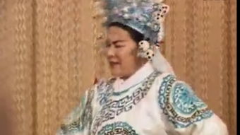 八美图路易斯多大