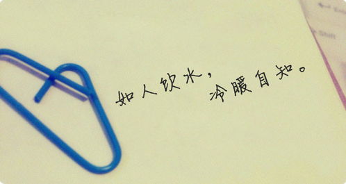 如人饮水是什么意思