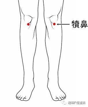 犊鼻裈，犊鼻裤