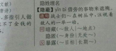 躲藏的近义词是什么?(躲藏的近义词是什么词)