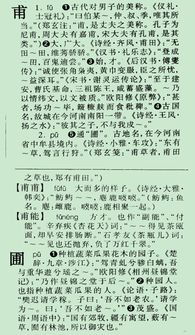 逋的读音和意思是什么，走之旁加甫的读音