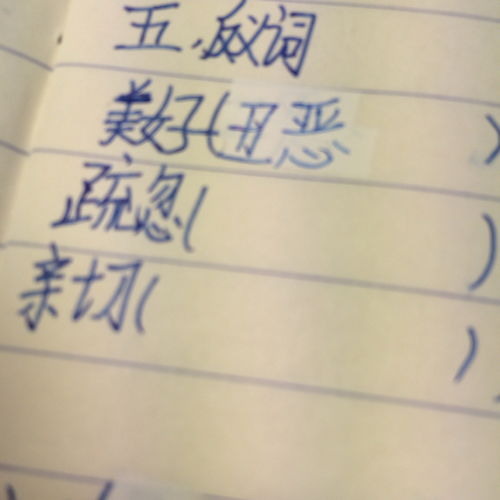亲切的反义词?