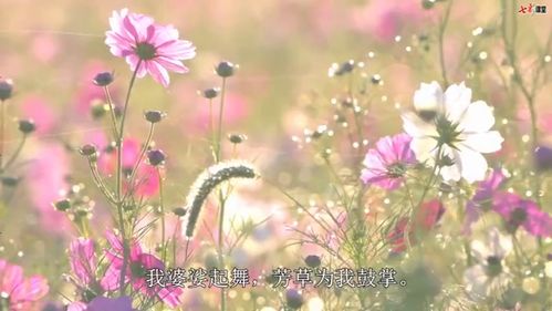 花之歌的作者是谁，花之歌音乐教案
