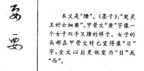 戊正确读法，戊的拼音和组词是什么