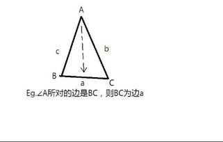 三角形顶角是什么?