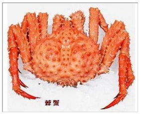 鳔怎么读 拼音，鱬怎么读