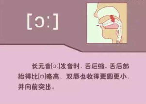 姿势的拼音狐姿势的拼音是什么