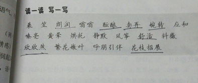 遂有的拼音是什么，遂的拼音和词语
