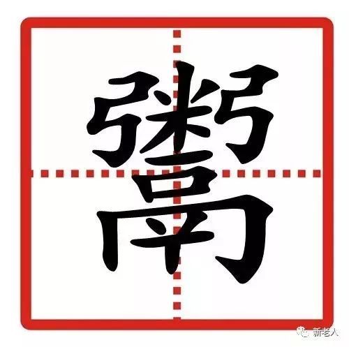 水瓢的拼音