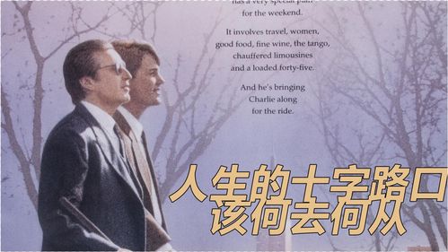何去何从下一句怎么说，何去何从的近义词