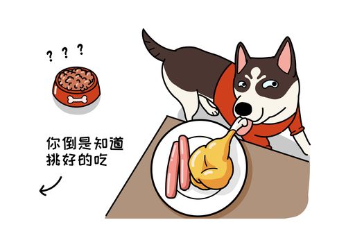 挑剔的拼音和意思，无可挑剔的拼音