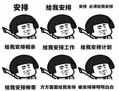 真不是盖的什么意思?