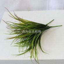 细草酮，细草摇头忽报侬