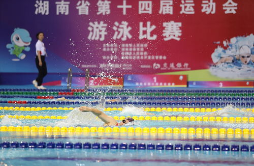 游字组词有哪些游泳的游怎么组词