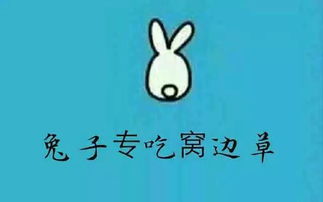 前后不着调是什么意思，不着调是什么意思解释