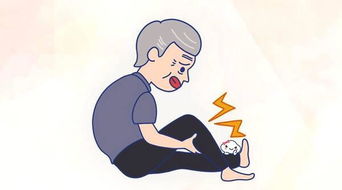 什么什么不宁填动物，填上动物名称什么什么不宁