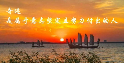意志坚定的意思是什么?