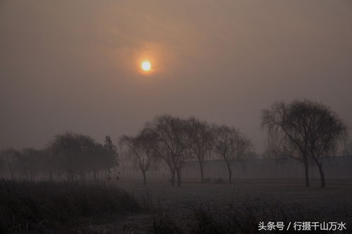 胧的拼音组词部首