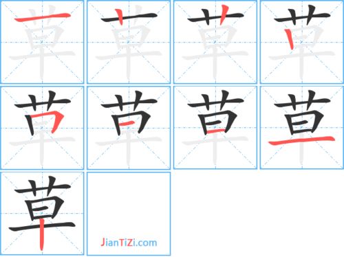 草的组词有什么