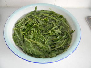 荬怎么读