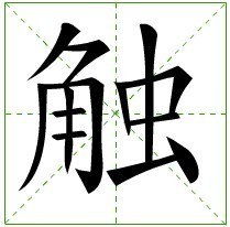 触组词语和拼音怎么写，触组词语组词